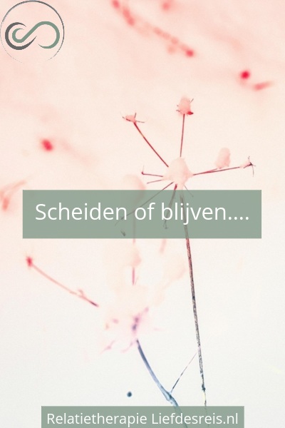 Quote van Liefdesreis op een zachtroze achtergrond: "Scheiden of blijven. Wanneer de afstand groeit, ontstaat de twijfel of de ruimte tussen jullie nog te overbruggen is.