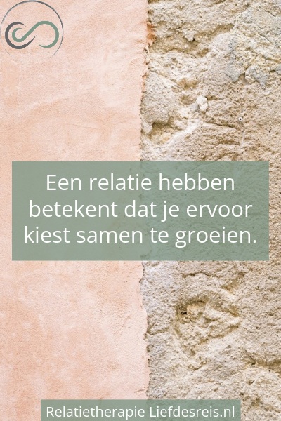 Een quote over hoe een koppel kiest om met al hun verschillen samen te groeien in hun relatie bij Liefdesreis